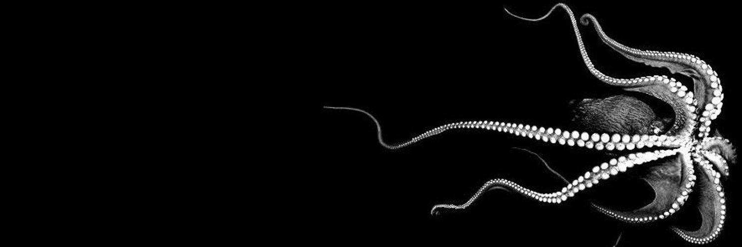 beree_rs's profile banner image