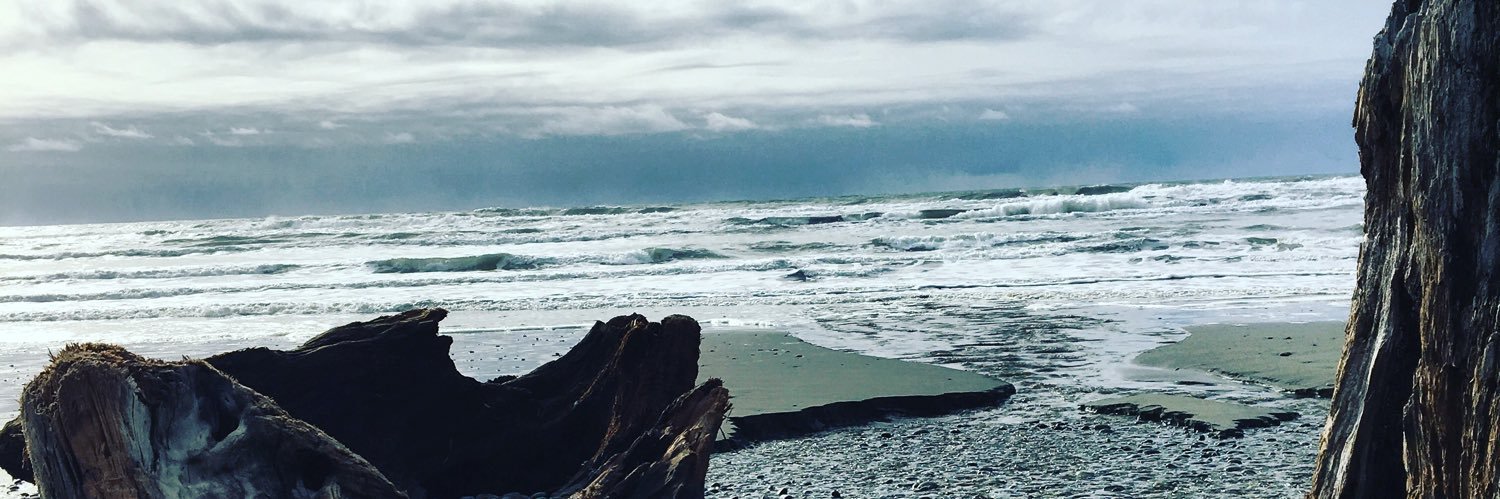 MrsCarlaPink's profile banner image