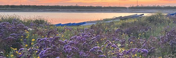 LizLoether Profile Banner