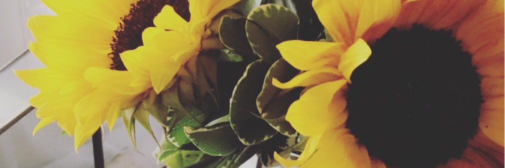 tooooshea's profile banner image
