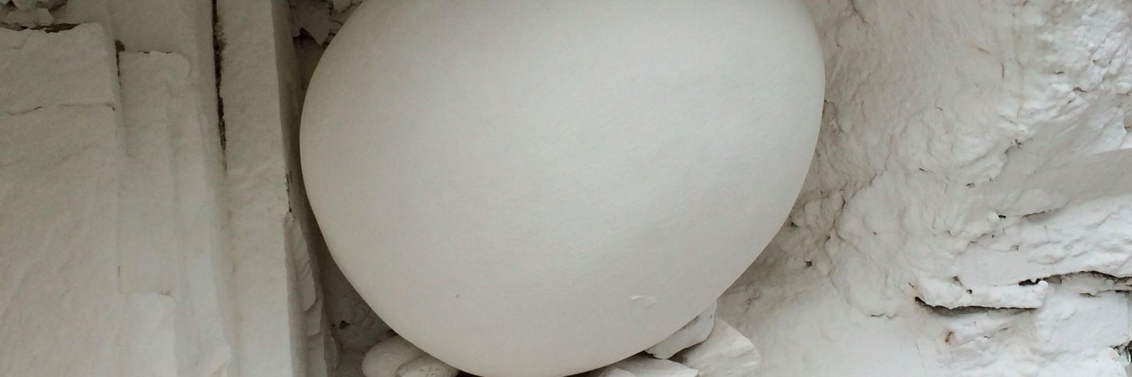 Margo Hammond banner