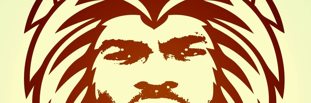 ricadobee's profile banner image