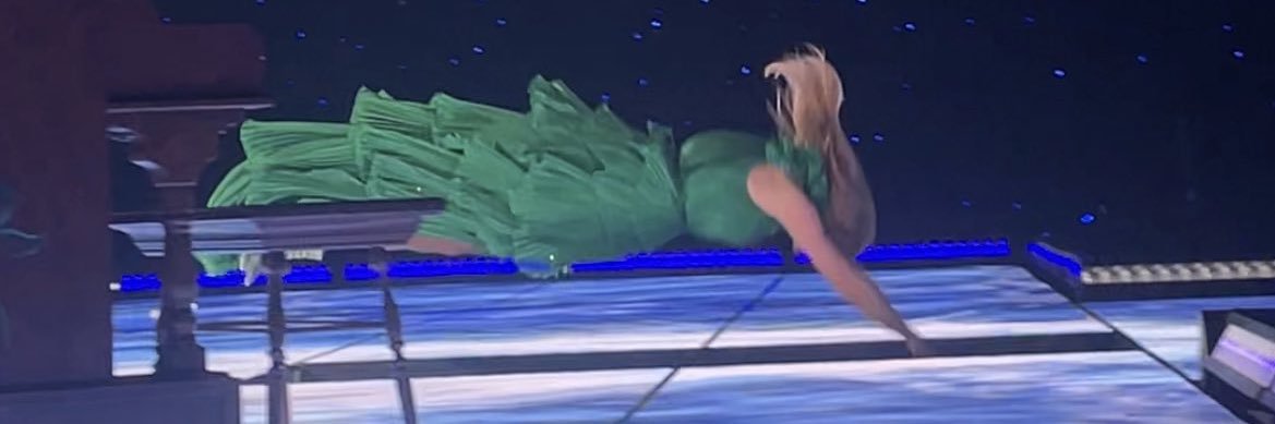 bridge (taylor’s version) banner