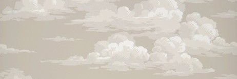 emilyrrobison's profile banner image