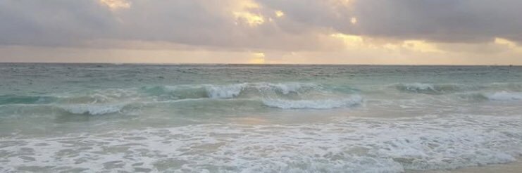 Kasey Zimmerman banner