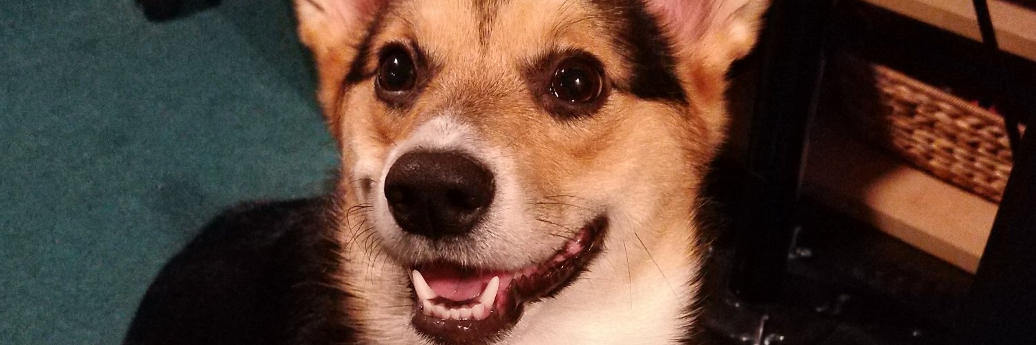 HeyLookItsxZach's profile banner image