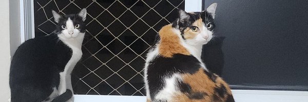 tiagots90 Profile Banner