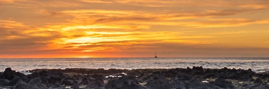 TSAphoto's profile banner image