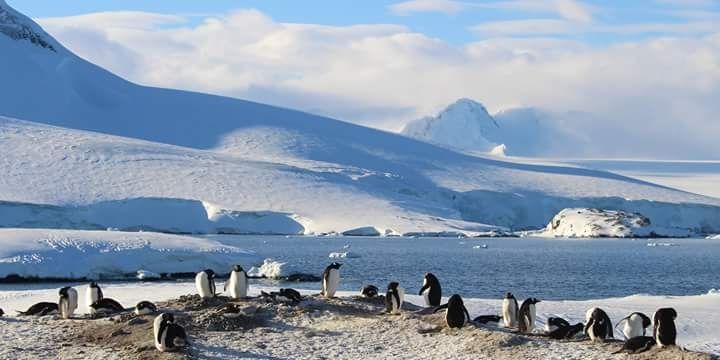 Bernardita Skinner banner