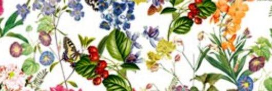 miishi_'s profile banner image