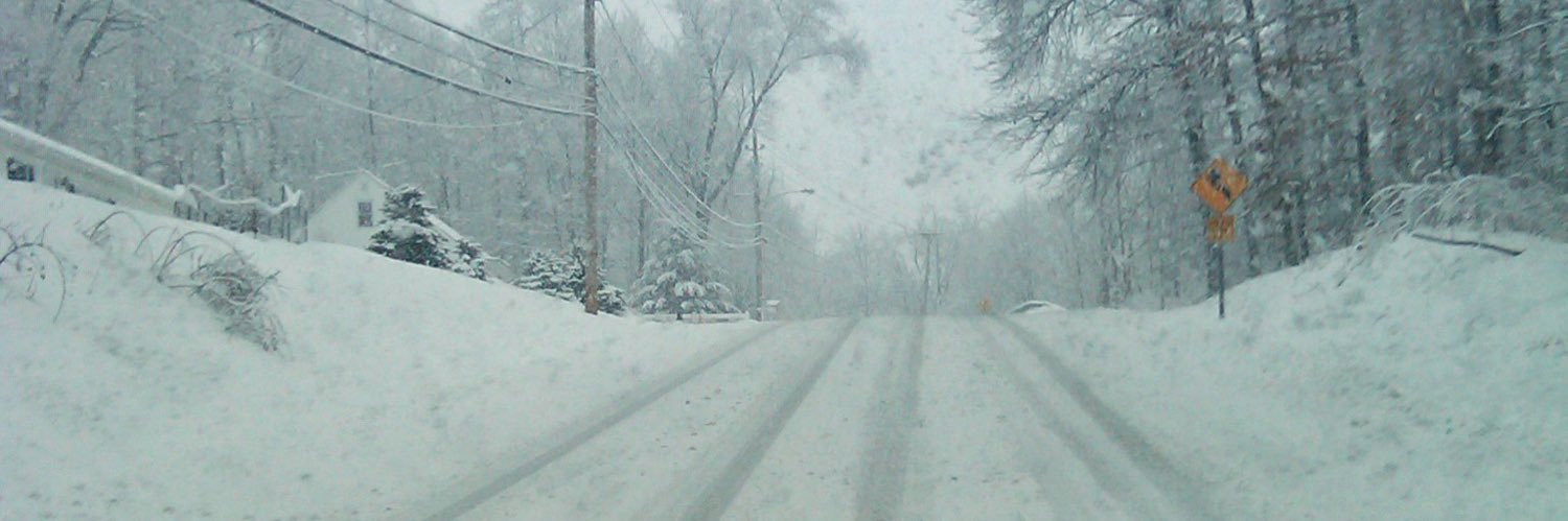 Santino Santo banner