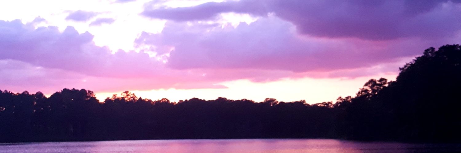 AlaskaSu24's profile banner image