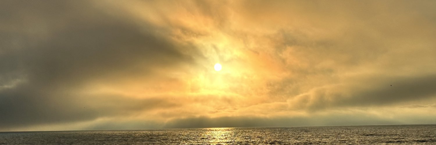 mandizeep's profile banner image