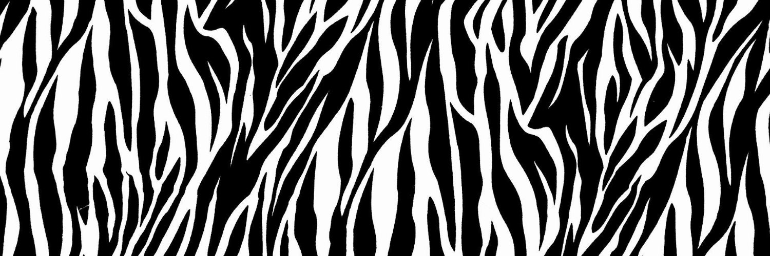Boso_Rodri's profile banner image