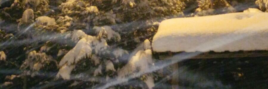 necmigedik's profile banner image