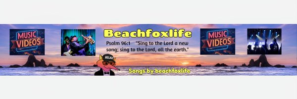 beachfox Profile Banner