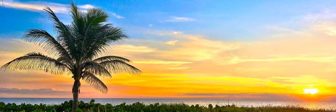 IslandCruizer's profile banner image