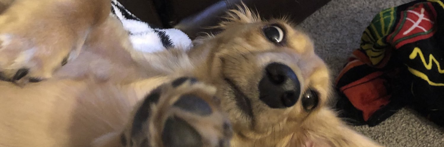 TomBayer12's profile banner image
