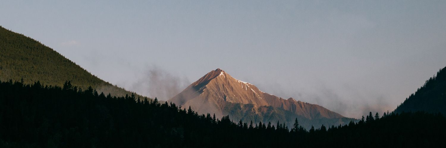 Noah banner