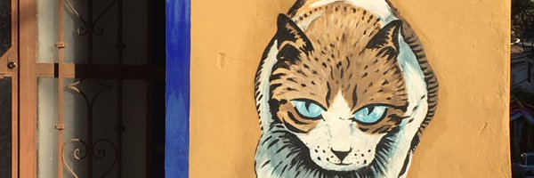 TiLauraRose Profile Banner