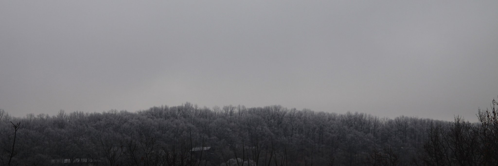zachblount's profile banner image