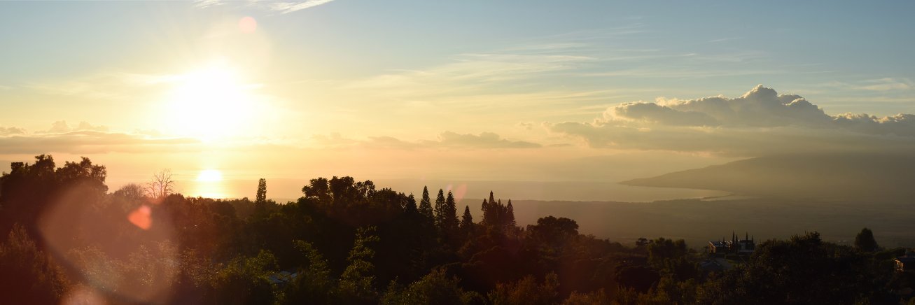 Paulette B Wright banner