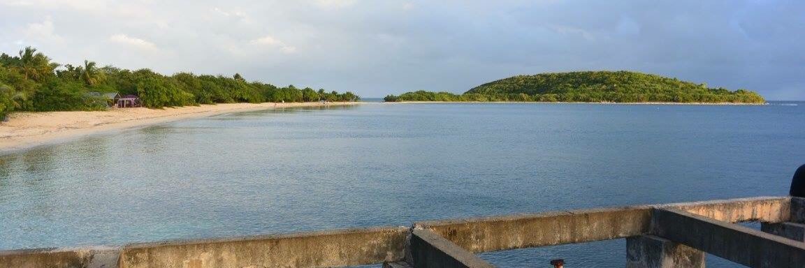 Bach Polakowski banner