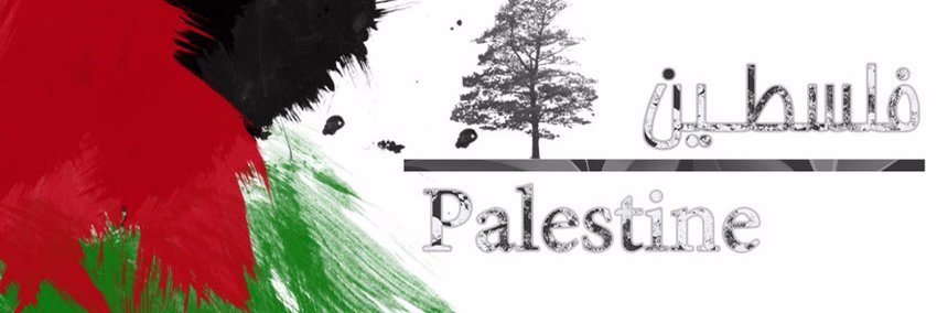 Voice_Of_Pal's profile banner image