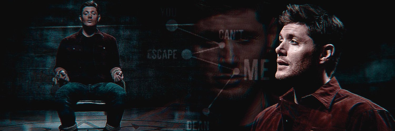 DamagedHunterDW's profile banner image