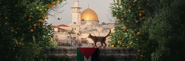 AZaidi315's profile banner image