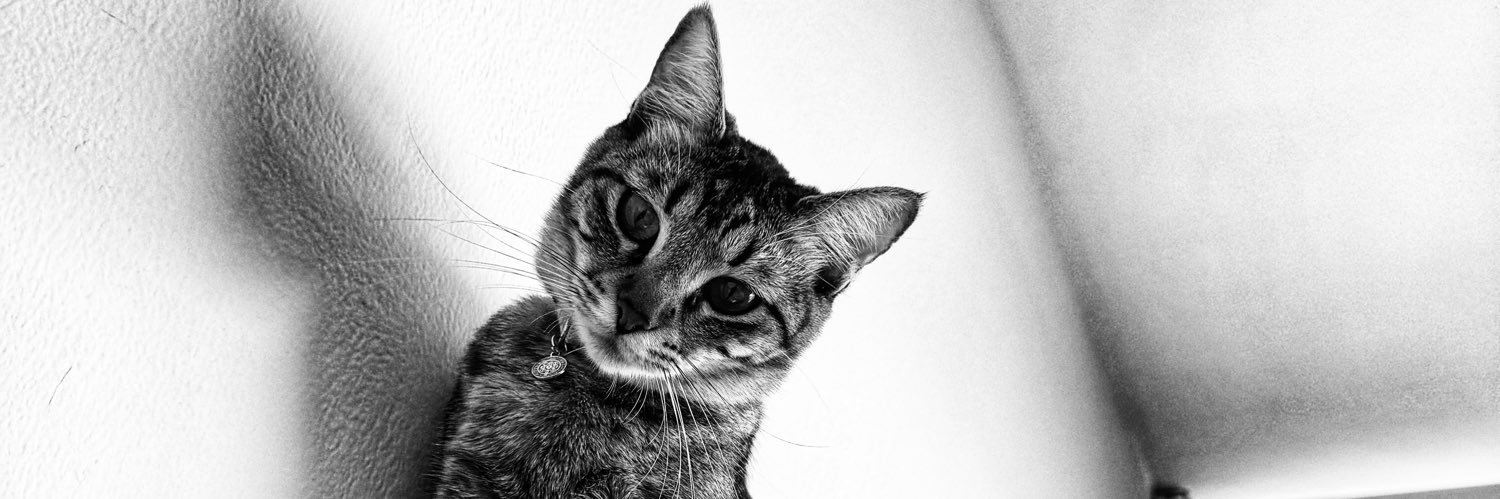aryto's profile banner image