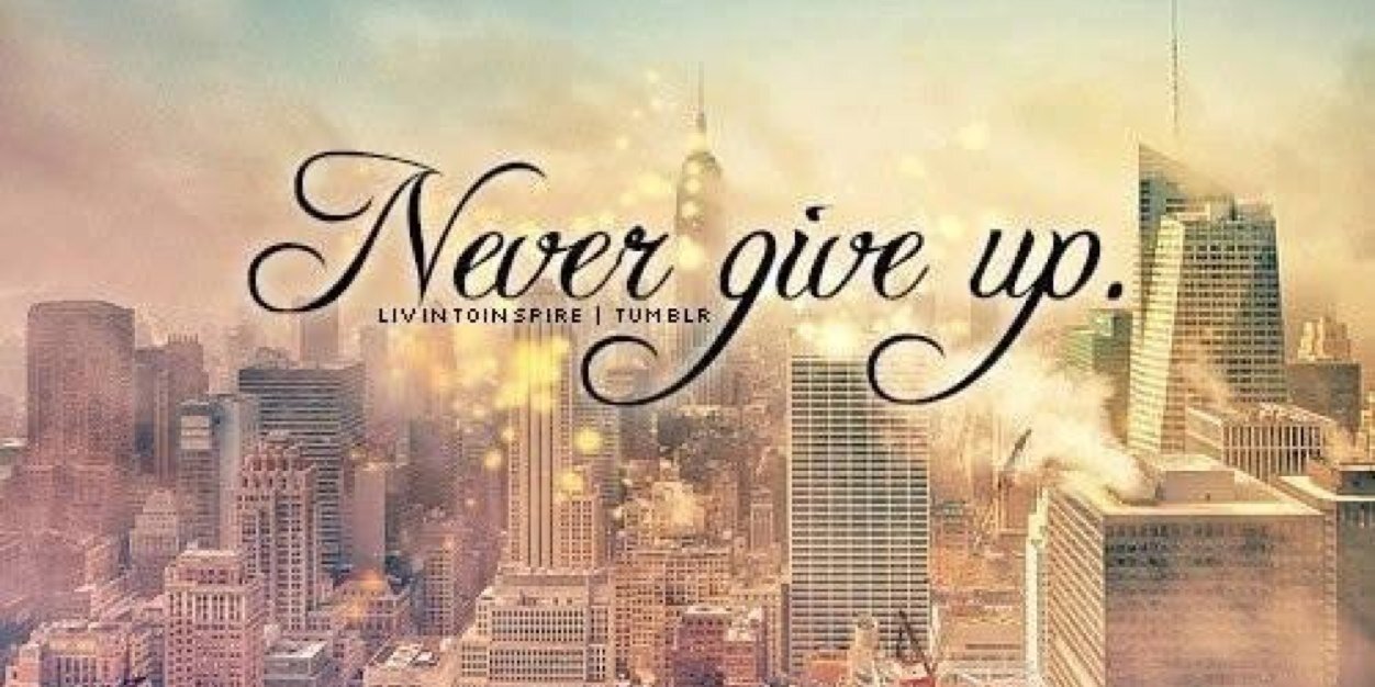 StarlaLoves1D's profile banner image