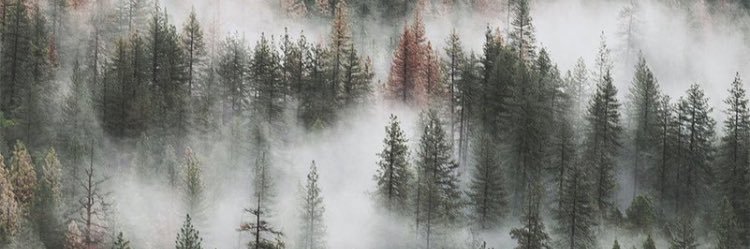 audreyc_29's profile banner image
