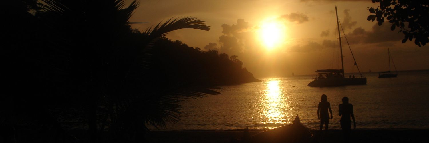 LHommeCassis's profile banner image