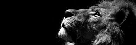 JoshueFelix's profile banner image