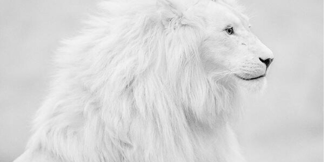 fahd0606's profile banner image