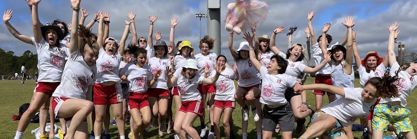 Vicious Circles banner