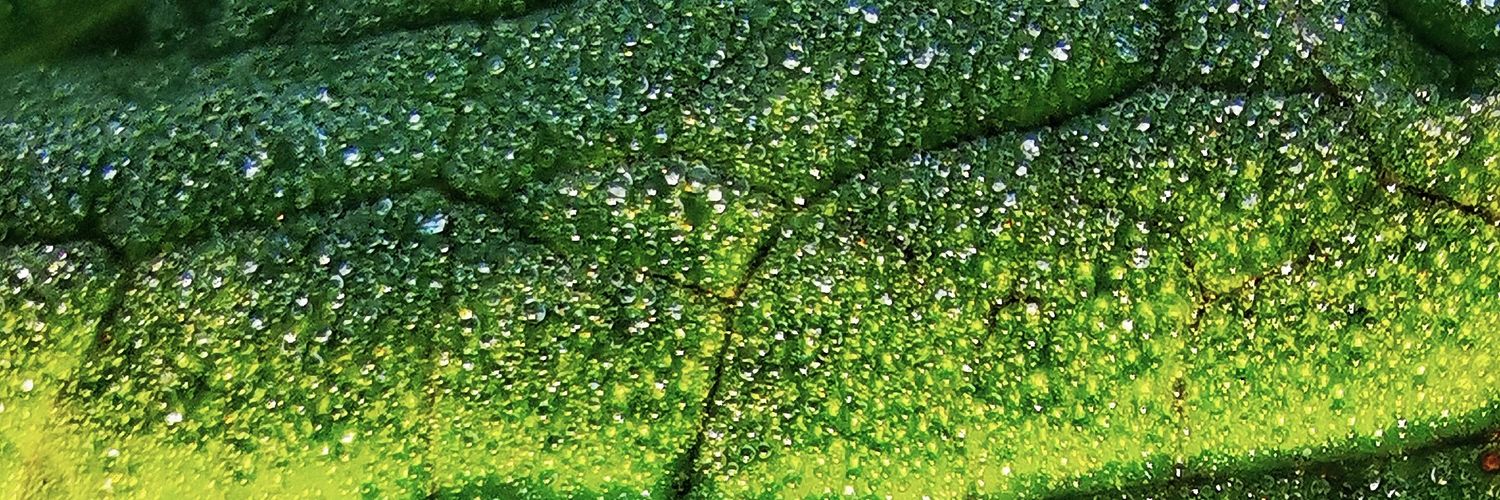 Zedd29's profile banner image
