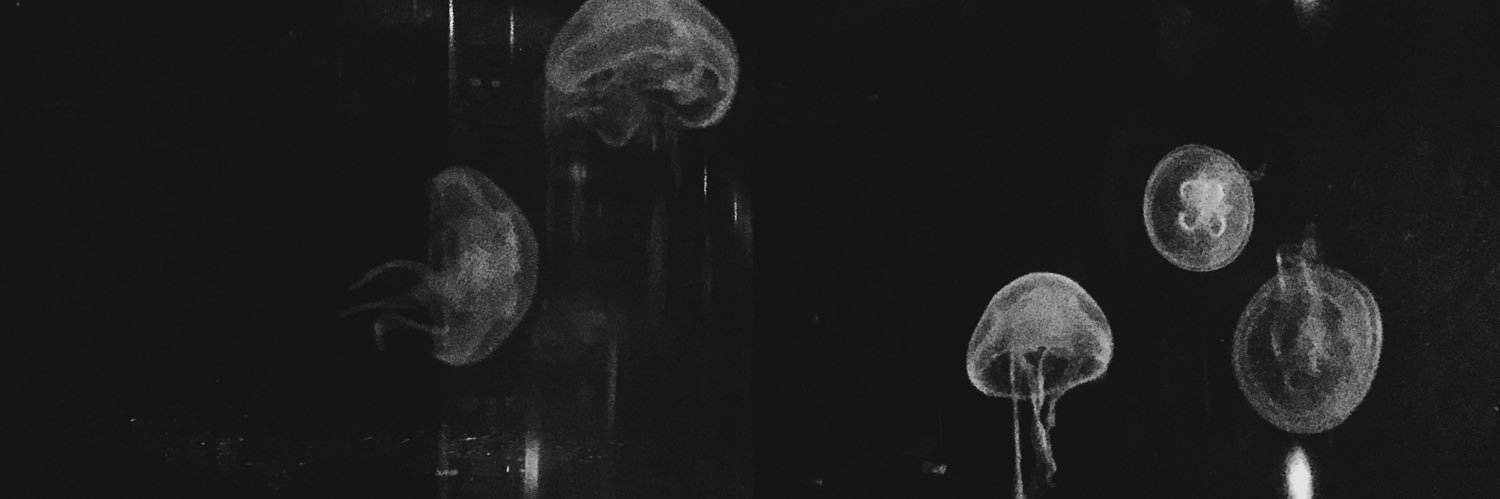 Alex_Register's profile banner image