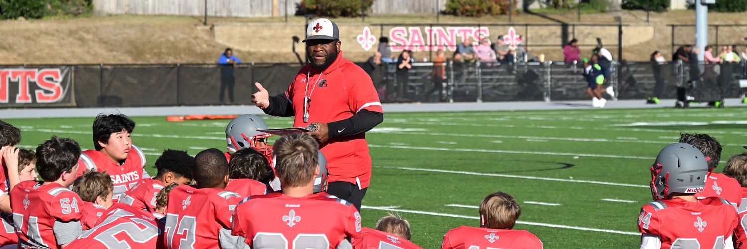 Stephen Lewis banner
