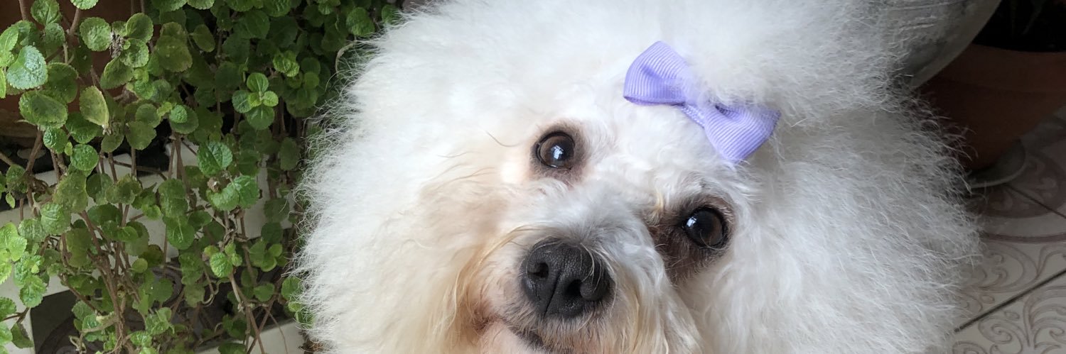 96Carme's profile banner image