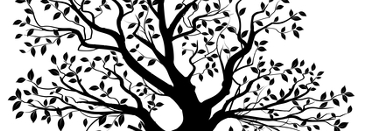 teatreetops's profile banner image