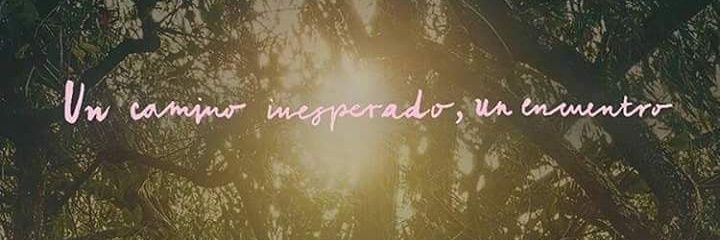 Wendynp08's profile banner image