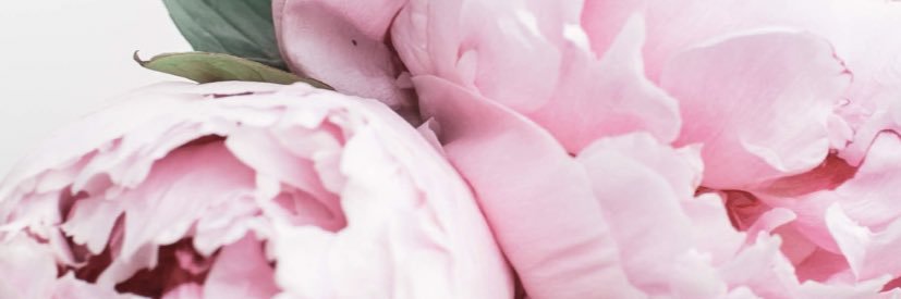 tomlintina's profile banner image