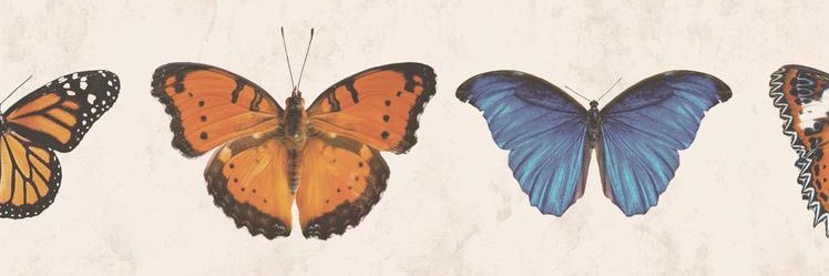 niamattack's profile banner image
