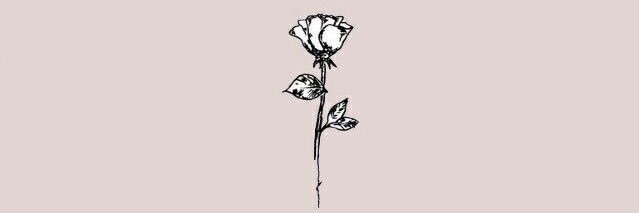 ElizabethDaani's profile banner image