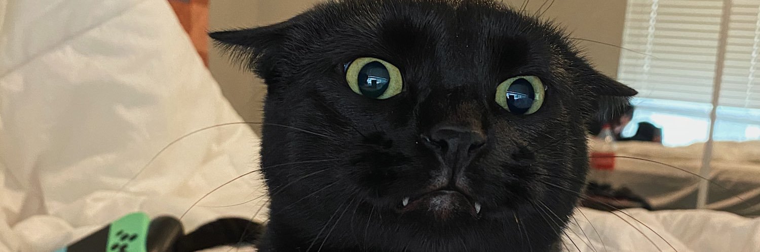 saintnattylite's profile banner image