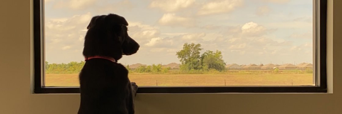 MiiikeFarrell's profile banner image
