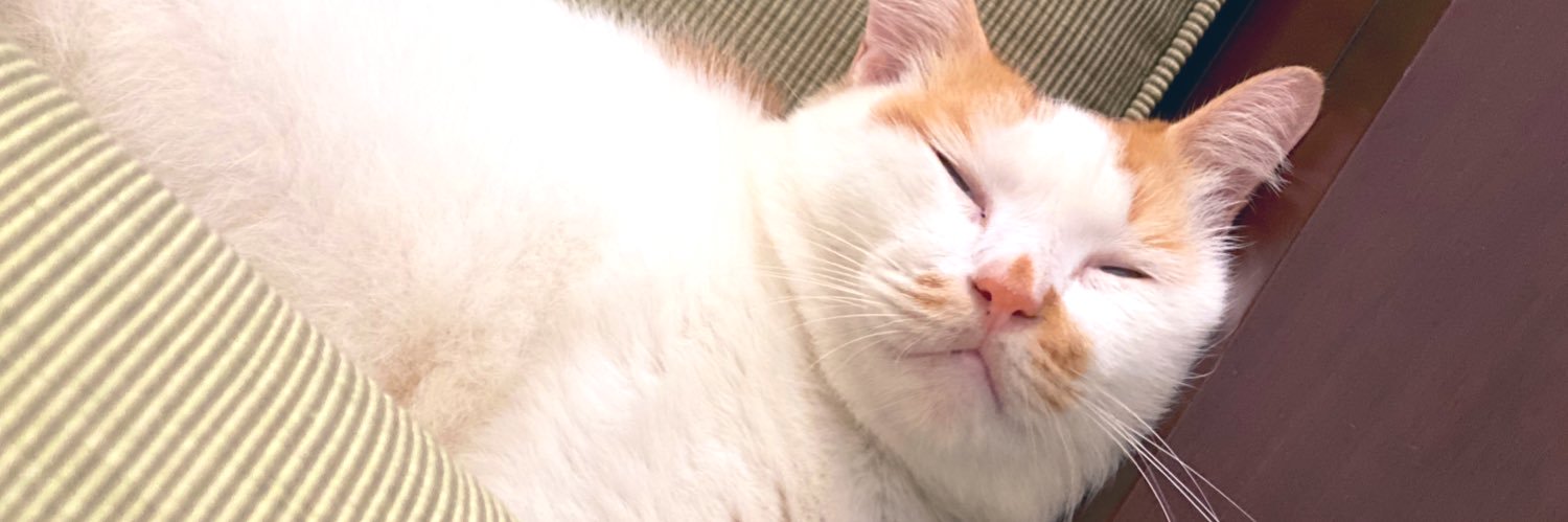 nfsehax's profile banner image