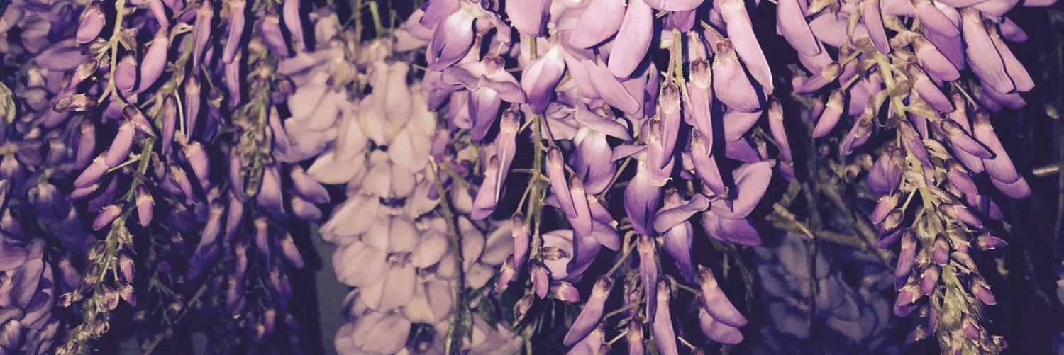 aaliyahisfab's profile banner image